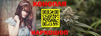 винт Партизанск