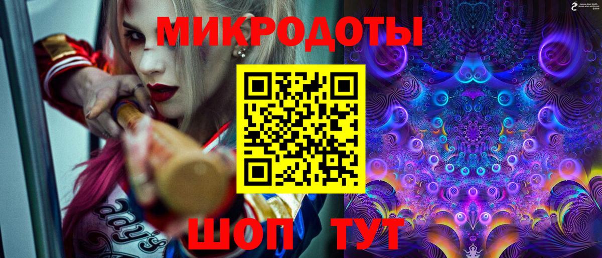 Галлюциногенные грибы Psilocybe Новоалександровск