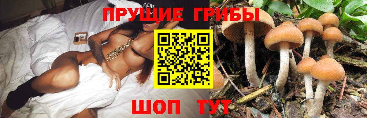 Новоалександровск  Галлюциногенные грибы мухоморы  Вход с VPN  Псилоцибиновые грибы прущие грибы 